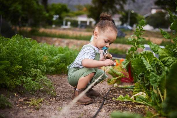 Is Gerber Baby Food Safe?