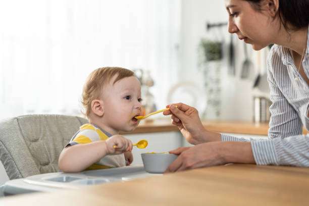 Top Organic Baby Food